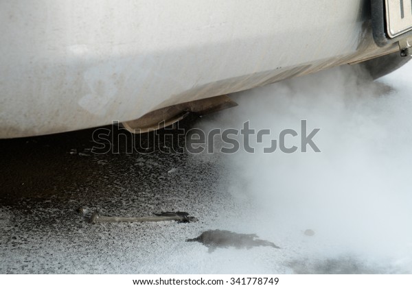smoke car pipe\
exhaust  in freezing\
weather