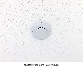 Smoke detector with smoke