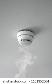  Smoke Detector Of Fire Alarm In Action
