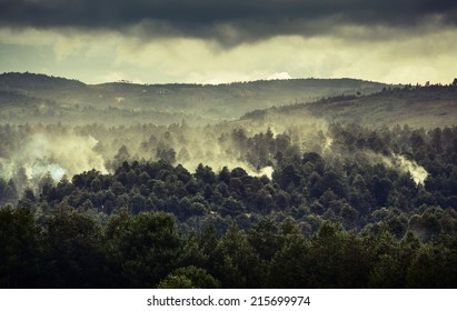 Smoke In Forest Caused By Deforestation. Madagascar