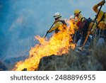 Smoke, forest and firefighter team with disaster management, emergency and damage control in bush. Mountain, flame and people help with fire rescue, volunteer service or safety in nature conservation