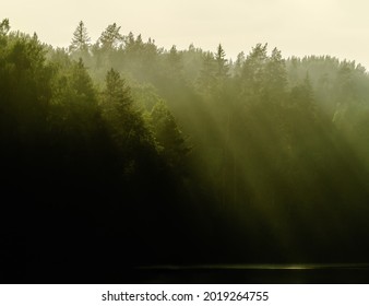 smoke from forest fires in the rays of the setting sun. noise, grain.