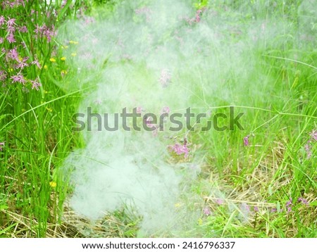 Smoke in the grass ( too much smoke not to be a fire)
