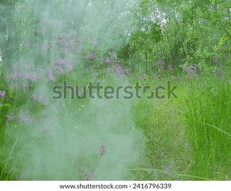 Smoke in the grass ( too much smoke not to be a fire)