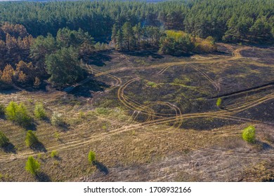 Smoke Over Forest, Wild Fire Aerial View. Scorched Earth And Tree Trunks After A Spring Fire In Forest. Black Burnt Field. Extraordinary Incident. Consequences Of A Forest Fire