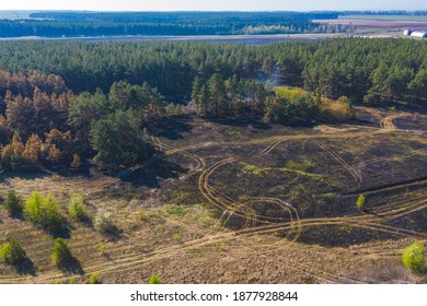 Smoke Over Forest, Wild Fire Aerial View. Scorched Earth And Tree Trunks After A Spring Fire In Forest. Black Burnt Field. Extraordinary Incident. Consequences Of A Forest Fire	