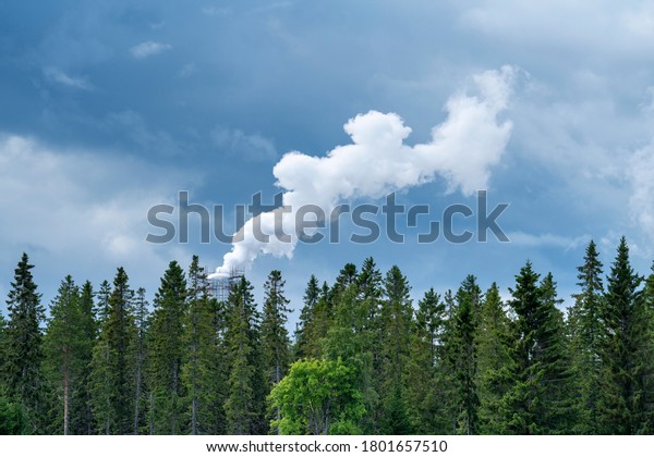 Smoke plume\
from industry emitting greenhouse gas into the atmosphere on forest\
trees background and blue cloudy\
sky.
