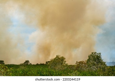 Smoke Plume From Wilfire In Peat Forest, Southern Thailand