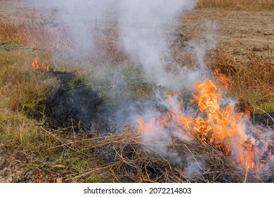 Smoke Rise From Fire Of Dry Grass Burning A Garden Refuse During Autumn Cleaning Period Work In The Garden Plot