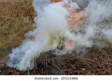 Smoke Rise From Fire Of Fallen Leaves, Grass And Garden Refuse During Autumn Cleaning Period Work In The Garden