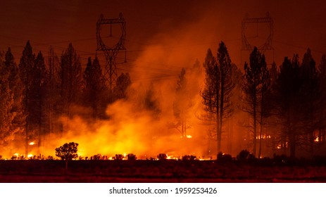 Smoke Rises from Forest Fire  - Powered by Shutterstock
