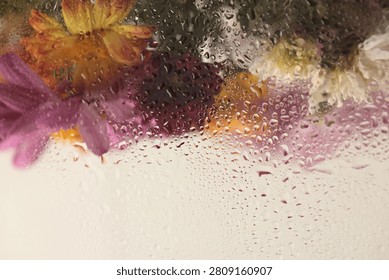 Smoke selected Soft focus aster flower bouquet through glass with wet flow pour water Drops. Abstract beige natural blur background.