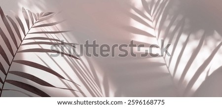 Smoke Soft focus texture brown, beige refraction wall . Light and shadow pastel neutral color abstract copy space horizontal background. Palm leaf.