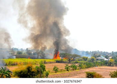 smoke from sugar cane plantation fire
