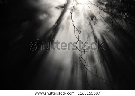 Similar – Foto Bild The covert light