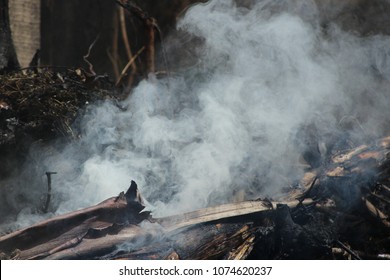 2,642 Weed leaf on fire Images, Stock Photos & Vectors | Shutterstock