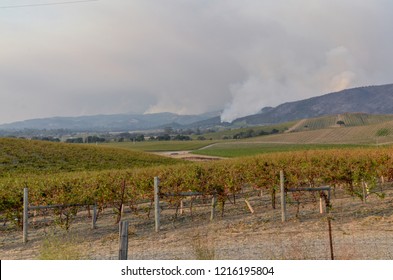 smoke from wildfires over hills and vineyards in Sonoma Valley, California