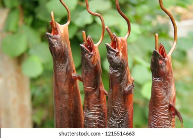 Smoked Fish Hang On The Hook. Traditional Dried Food - European Eel (Anguilla Anguilla). 