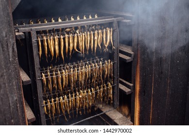 Smoked Herring In Smoke House. Latvia Traditional Food. Baltic Fish Sea Food. Smoked Baltic Sprat