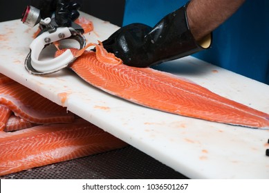 Smoked Salmon Factory - An Employee Prepares And Maintains A Fillet Of Norwegian Salmon.