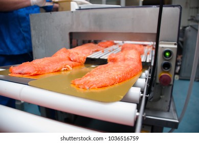 Smoked Salmon Factory - The Machine Cuts The Fillet Of Smoked Salmon Into Slices.