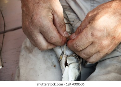 smoking fish. Male hands wrapping mackerel before smoke. - Shutterstock ID 1247000536