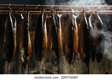 Smoking Process Fish. Fish processing smoking. Mackerel Fish smoked in smokehouse. Smoking Process Fish. banner, menu, recipe place for text.