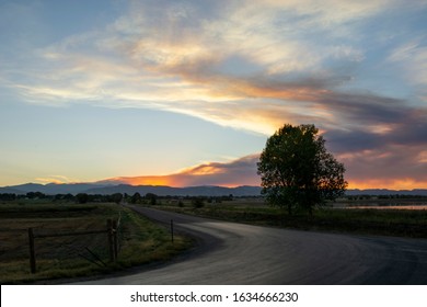 Smoky Sunset Mountain With Road And Tree