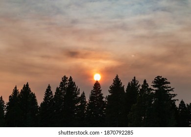 Smoky Trees And Sun During California Wildfires 2020. High Quality Photo