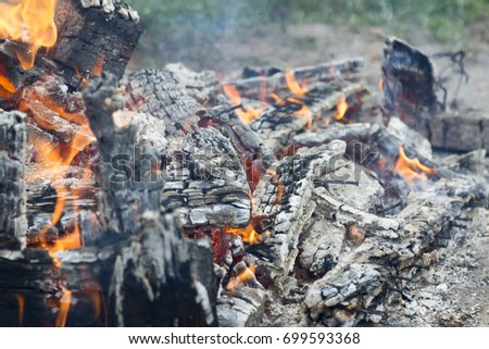 Smoldering ashes of a bonfire.