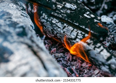 Smoldering Embers Of A Campfire