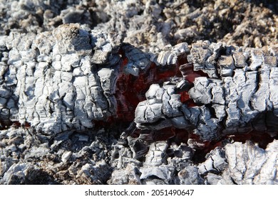 Smoldering Embers Of A Wooden Log In A Fire