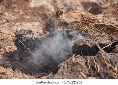 Smoldering Peat In The Ground Smoke Rises