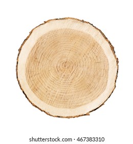 Smooth Cross Section Brown Tree Stump Slice With Age Rings Cut Fresh From The Forest With Wood Grain Isolated On White