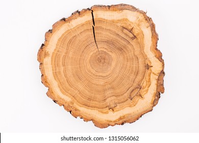 Smooth cross section of wood with tree rings cut fresh from the forest on white background