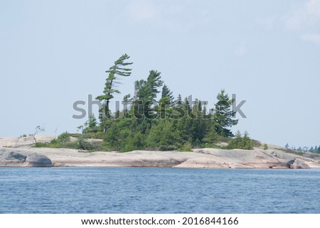 The smooth granite formations and Windswept pines at Indian Harbour in Georgian Bay Ontario Canada