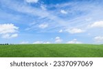 Smooth green grass, lawn against a large blue sky on a sunny day. Wide view of the mown lawn. Natural background of green grass, fresh juicy frame.