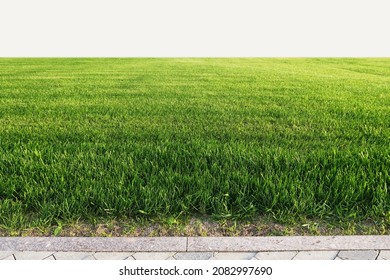 Smooth green grass, lawn against the background of a large blue sky on a sunny day. Wide view of the manicured lawn. The natural background of yellow-green grass in the rays of the setting sun.        - Shutterstock ID 2082997690