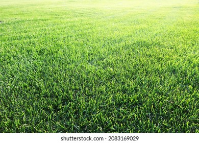 16,491 Smooth grass texture Images, Stock Photos & Vectors | Shutterstock