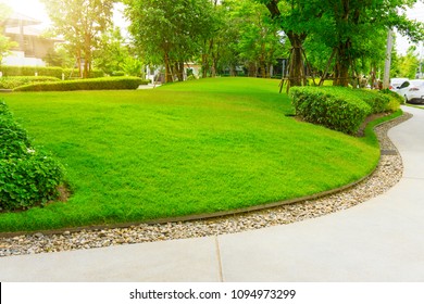 Smooth Green Grass Lawn, Trees With Supporting And Shrub In A Good Maintenance Landscape And Garden, Gray Curve Pattern Walkway, Sand Washed Finishing On Concrete Paving, Brown Gravel Border