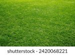 Smooth green grass, well-groomed lawn on a sunny day. Natural background of yellow-green grass in the sun. Stadium grass. Top view of garden background, bright grass concept, lawn for sports field