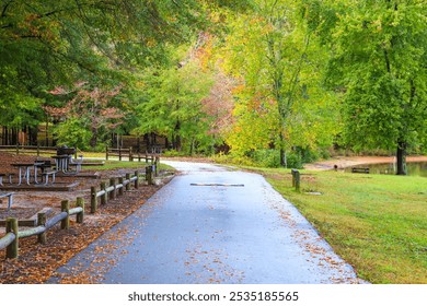 a smooth paved footpath in the park with fallen autumn leaves along the road and a wooden fence with lush green and autumn colored trees along the road at Sweetwater Creek State Park - Powered by Shutterstock