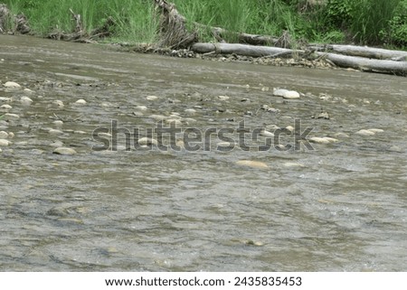 Smooth pebbles lining tranquil riverbed. Natural textures and colors. Perfect for serene nature backgrounds and mindfulness concepts