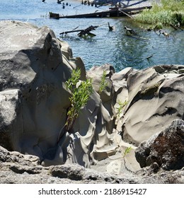 Smooth Rock Formation On A River