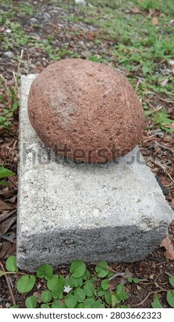 A smooth, rounded reddish‑brown stone speckled with tiny dark and light mineral grains rests neatly atop a rough, weathered rectangular concrete block. The concrete has a pale gray, uneven surface with visible texture and faint darker patches from exposure. Around the base, the ground is covered with soil, dry leaves, twigs, and low‑growing bright green creeping plants with small round leaves; a tiny white star‑shaped flower peeks out near the bottom. The background shows an untended outdoor ground with sparse grass and scattered debris, giving the scene a quiet, natural, rustic feel.