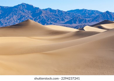 Smooth sand dune undulations contrasts with the jagged mountains beyond, Mesquite Flats Sand Dunes, Death Valley National Park, California