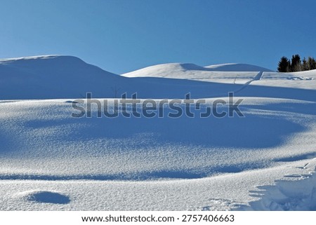 Smooth snow dunes with shadow texture and spruce trees on Kok Zhailau in winter
