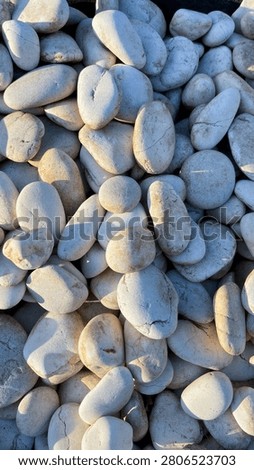 Smooth White River Pebbles Texture Background with Natural Rounded Stones for Garden Landscaping