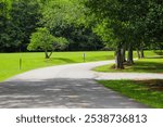 a smooth winding road through the park surrounded by lush lush green grass and trees at McIntosh Reserve Park in Whitesburg Georgia	USA