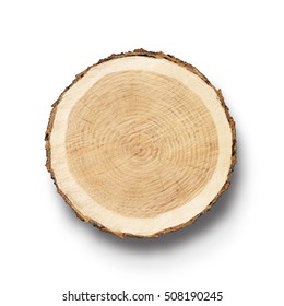 Smooth wood surface of cut tree slice isolated on white showing age and years